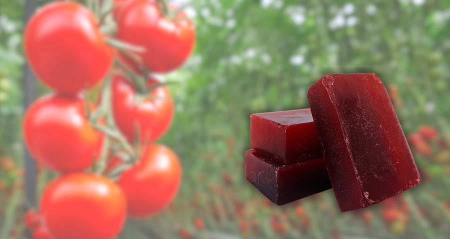 Tomato Walnut Scrub Soap: Nourish Your Skin with Nature's Goodness